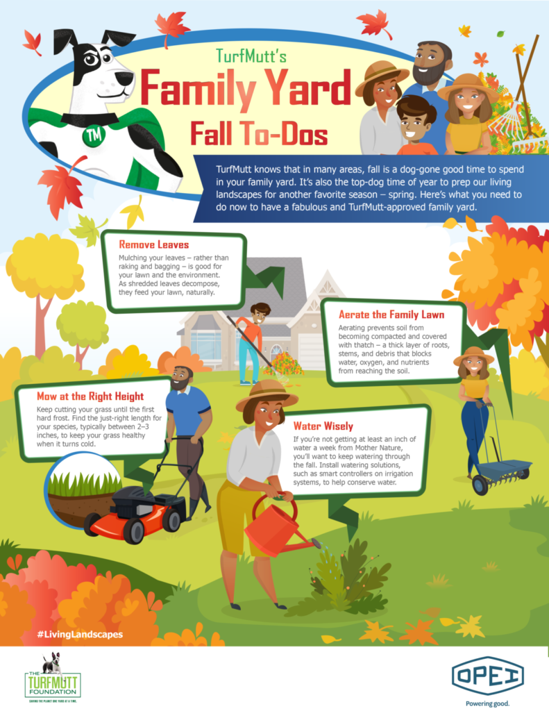 Infographic on family yard fall to-dos
